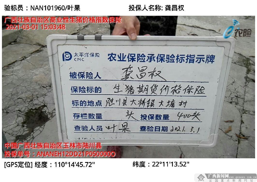 广西“保险＋期货”为农户撑起价格保护伞